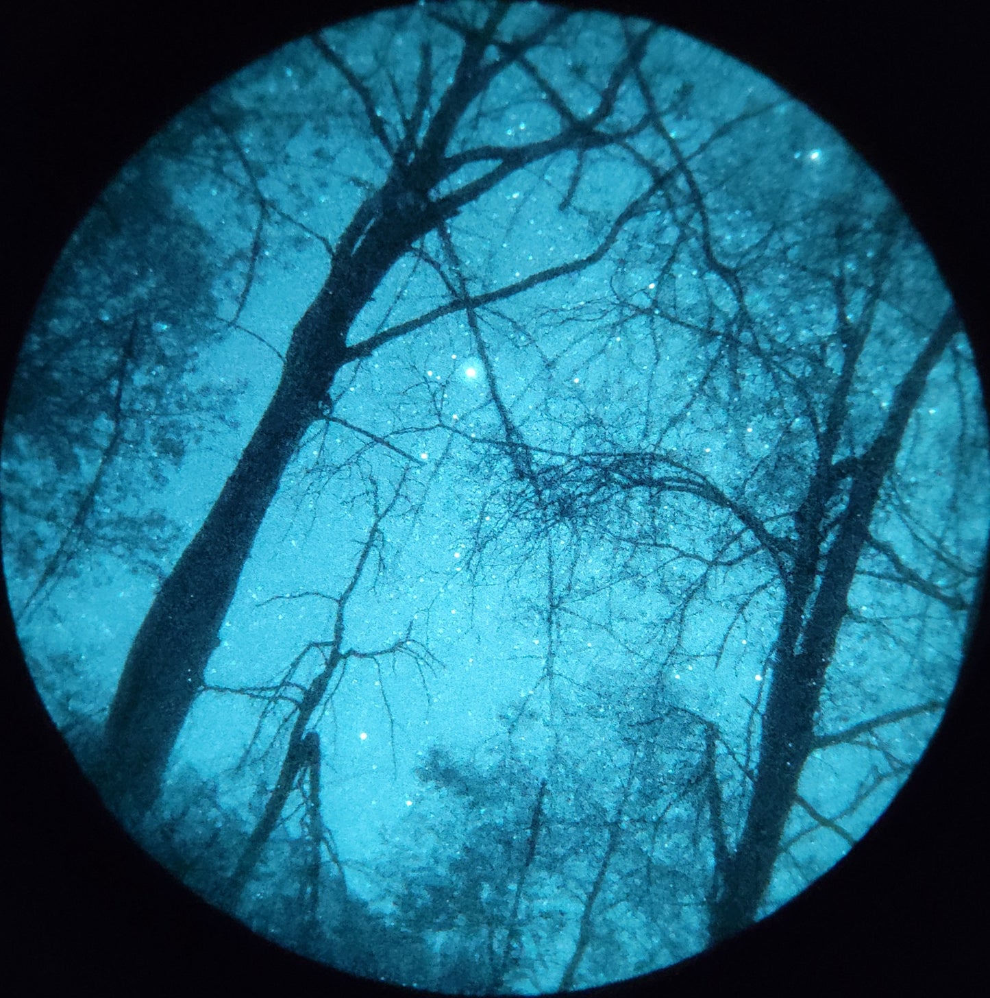 Tanto monocular