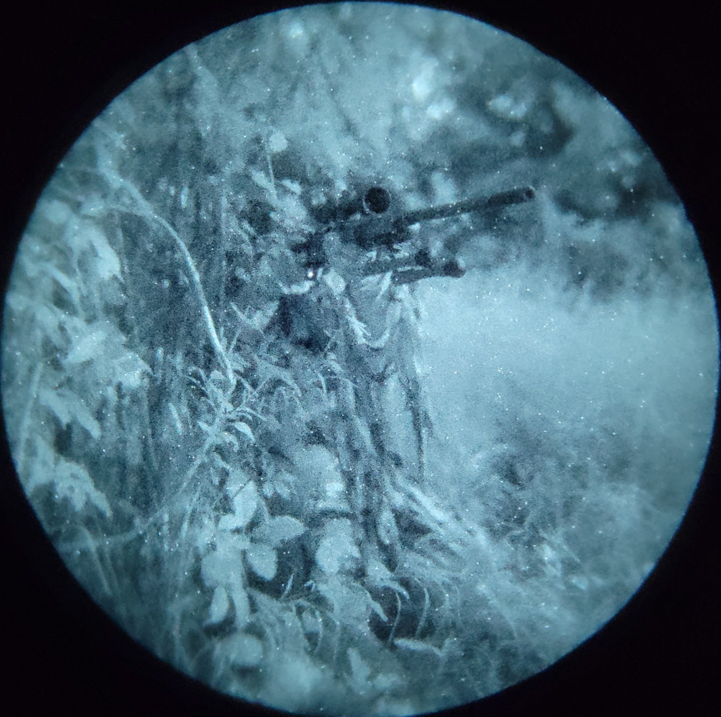 Tanto monocular
