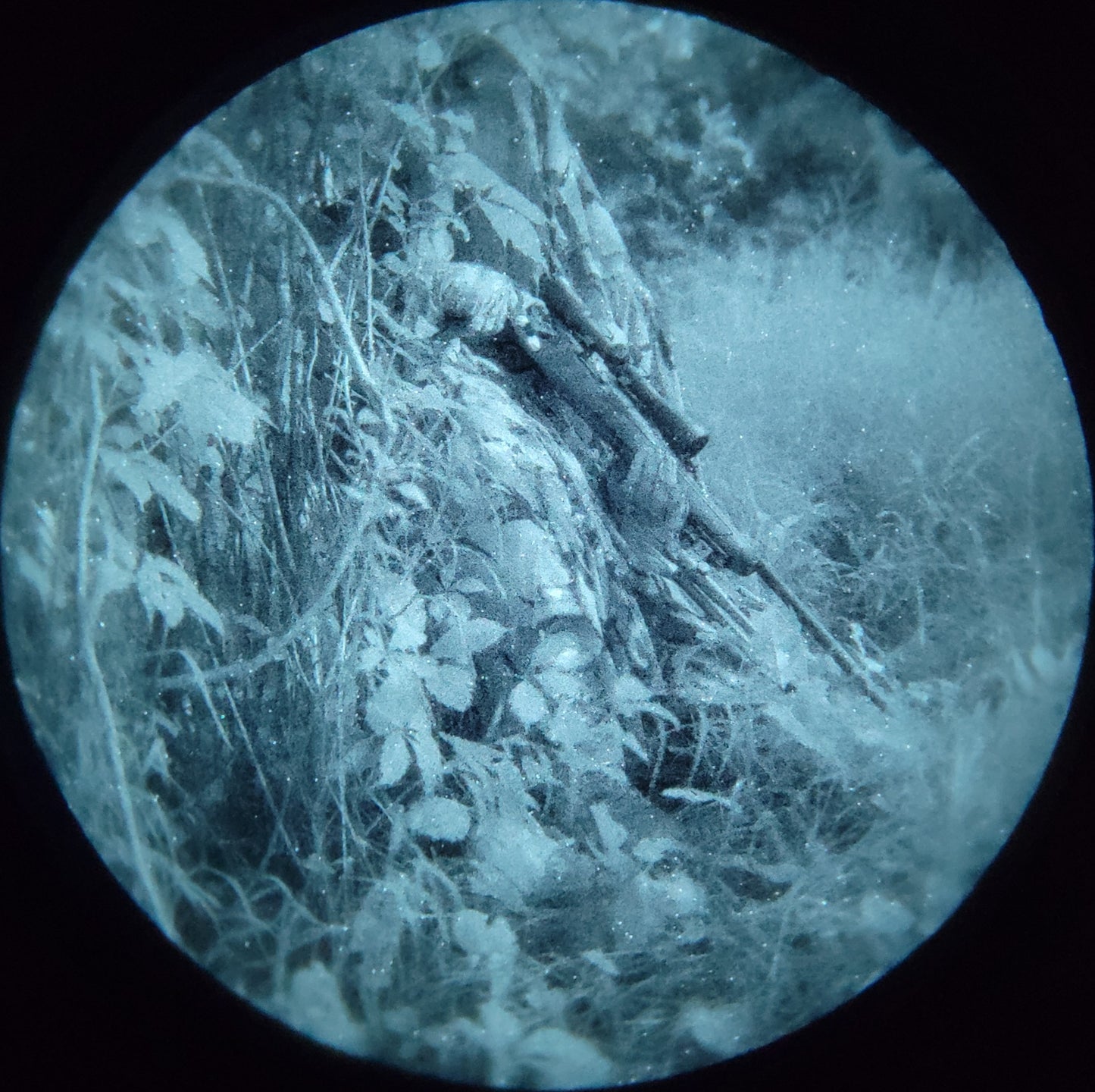 Tanto monocular