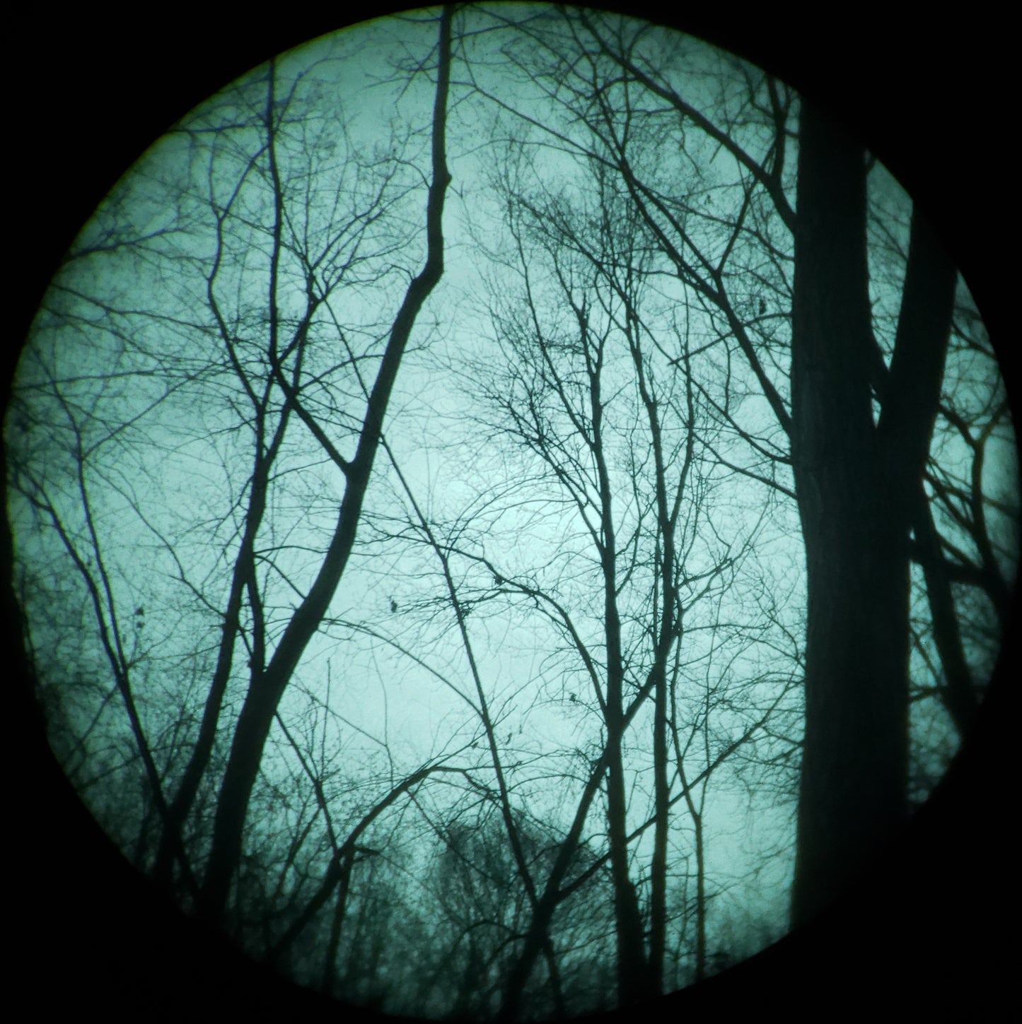 Pvs14 monoculars