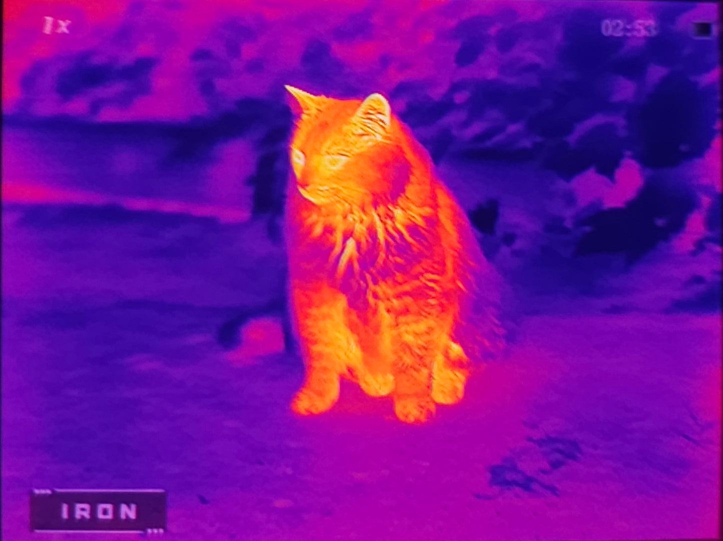 RIX stride ST6 lightweight compact thermal monocular