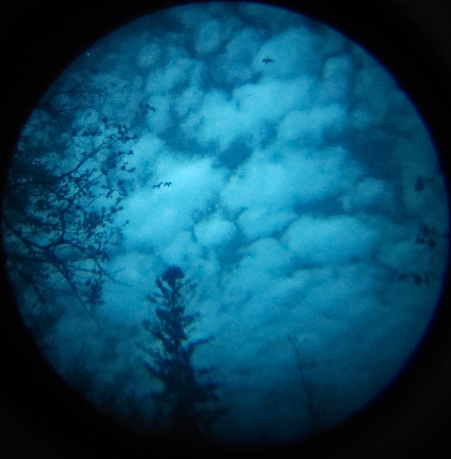 RNV-31 gen 2 night vision kit.