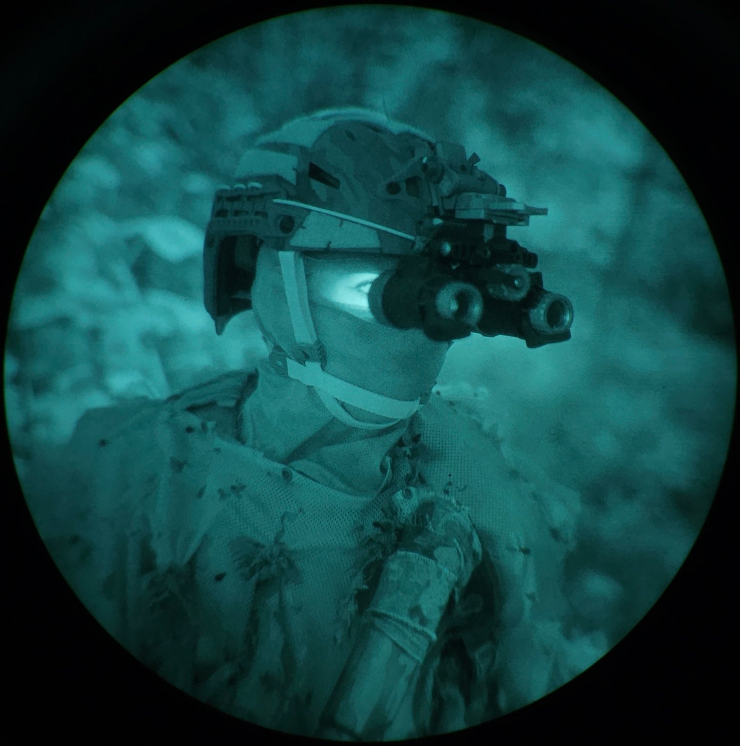 RNV-31 gen 2 night vision kit.