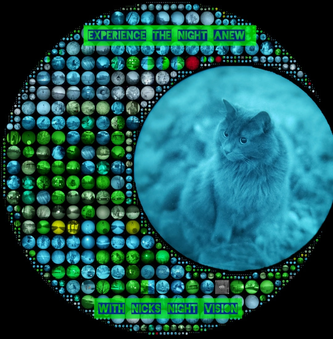 Danial goon (fox version with ears)