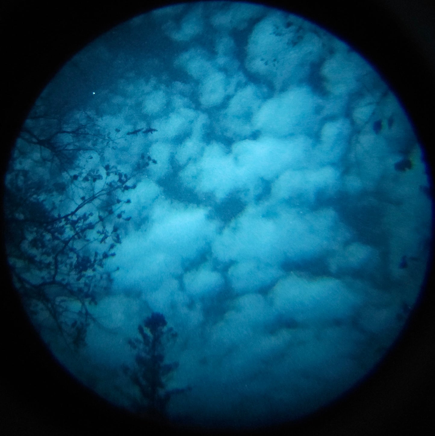 Rix RNV-31 (gen 2 dual tube)