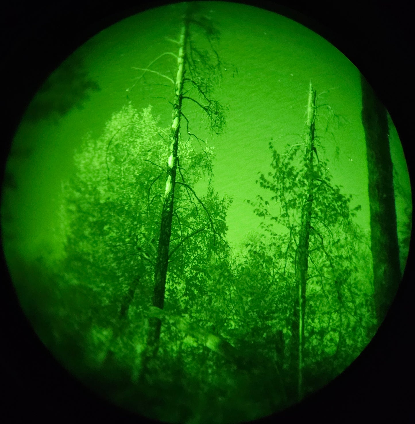Gen 3 Elbit/L3 Green PVS-14 Night Vision Monocular – refurbished special
