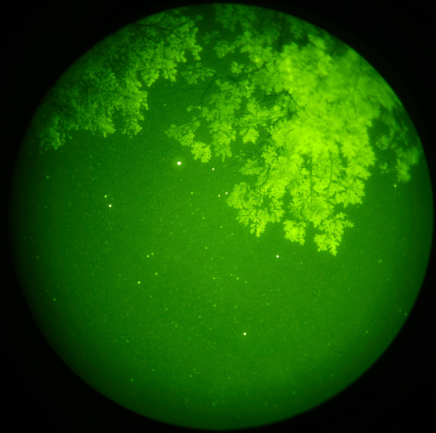 Gen 3 Elbit/L3 Green PVS-14 Night Vision Monocular – refurbished special