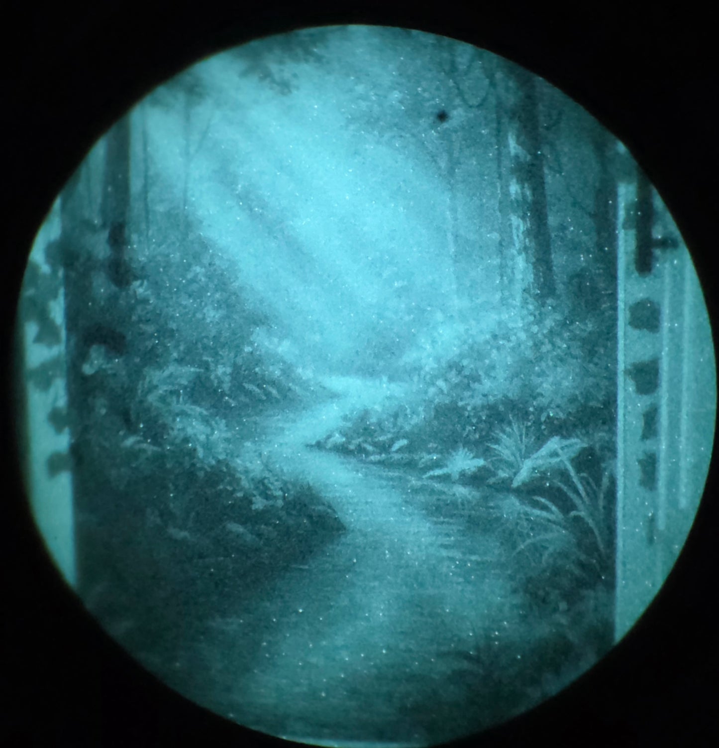Aeon Night Vision Binocular Elbit grade B)