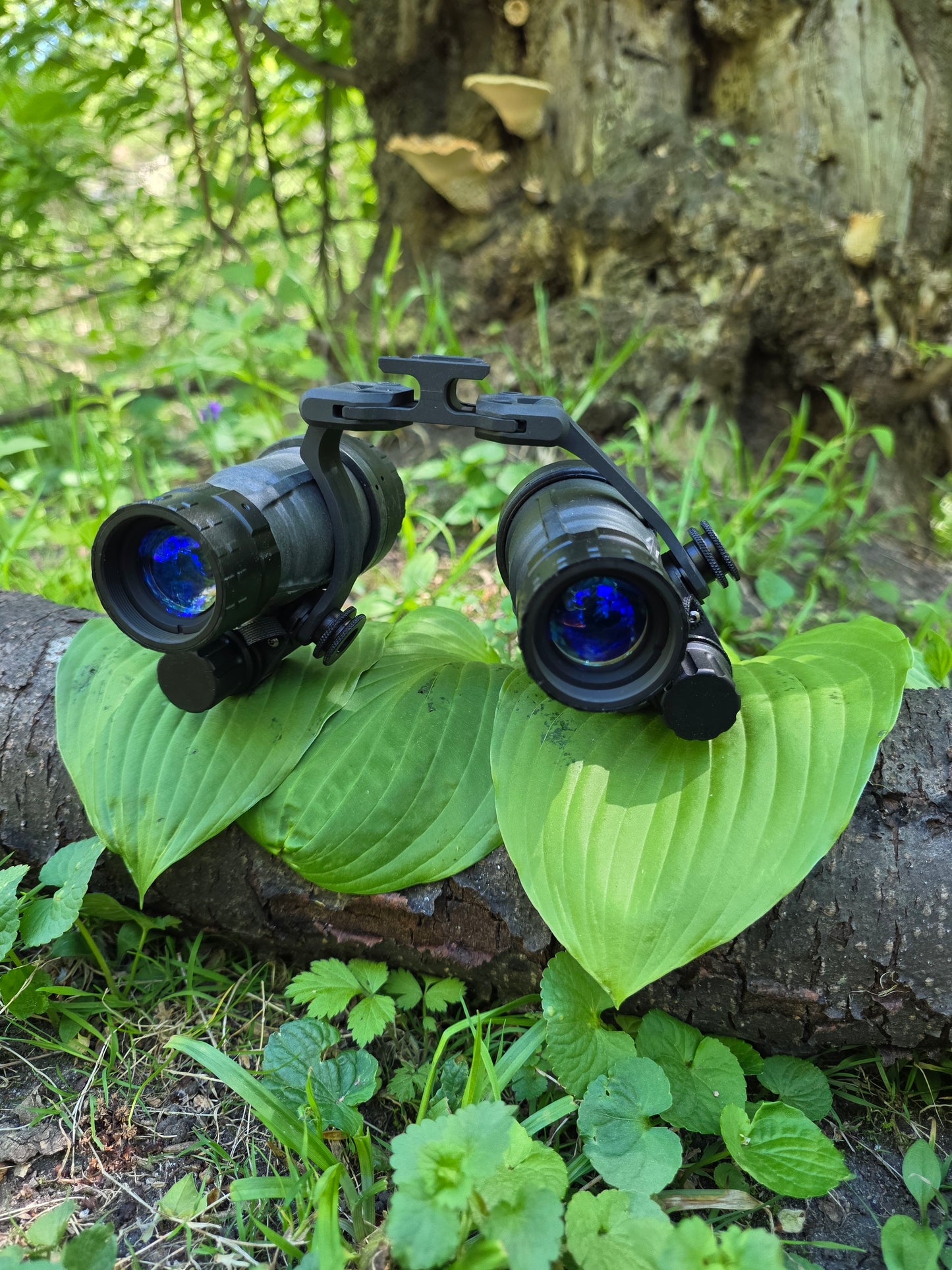Panobridge M1, 2x Talons, 2x brightpath len sets, labor for dual monocular swap.